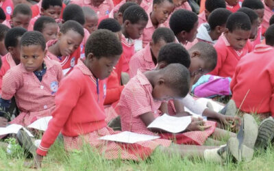 Help Us Fix Our School Desks in Eswatini with SKRUM
